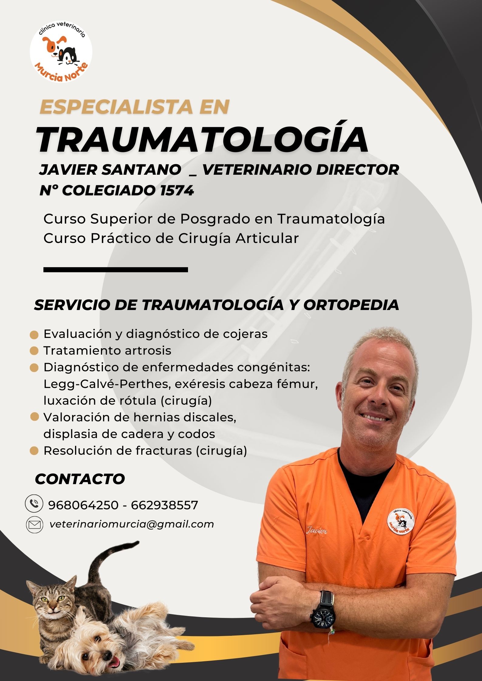 traumatología veterinaria, traumatólogo veterinario